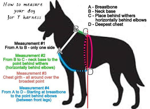 Thicc Harness Y-style