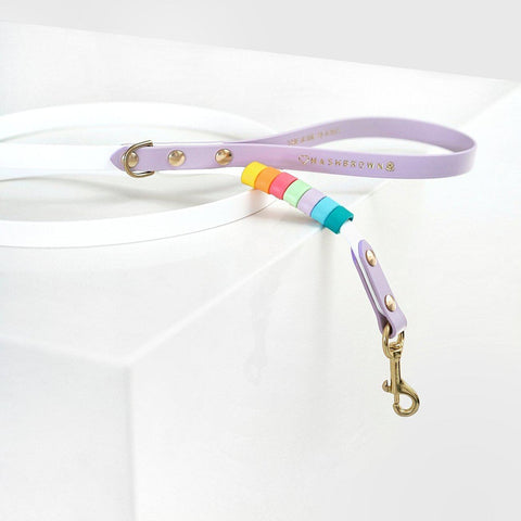 Rainbow Standard Classic Leash