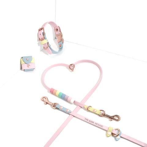 Rainbow Skinny Cruiser Multi-way Leash