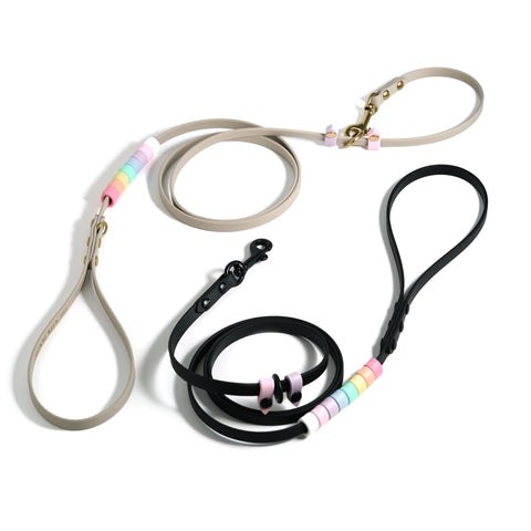 Rainbow Skinny Versa Leash