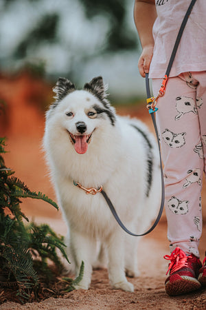 Skinny Cruiser Multi-way Leash