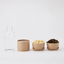 Coconi Water Bottle