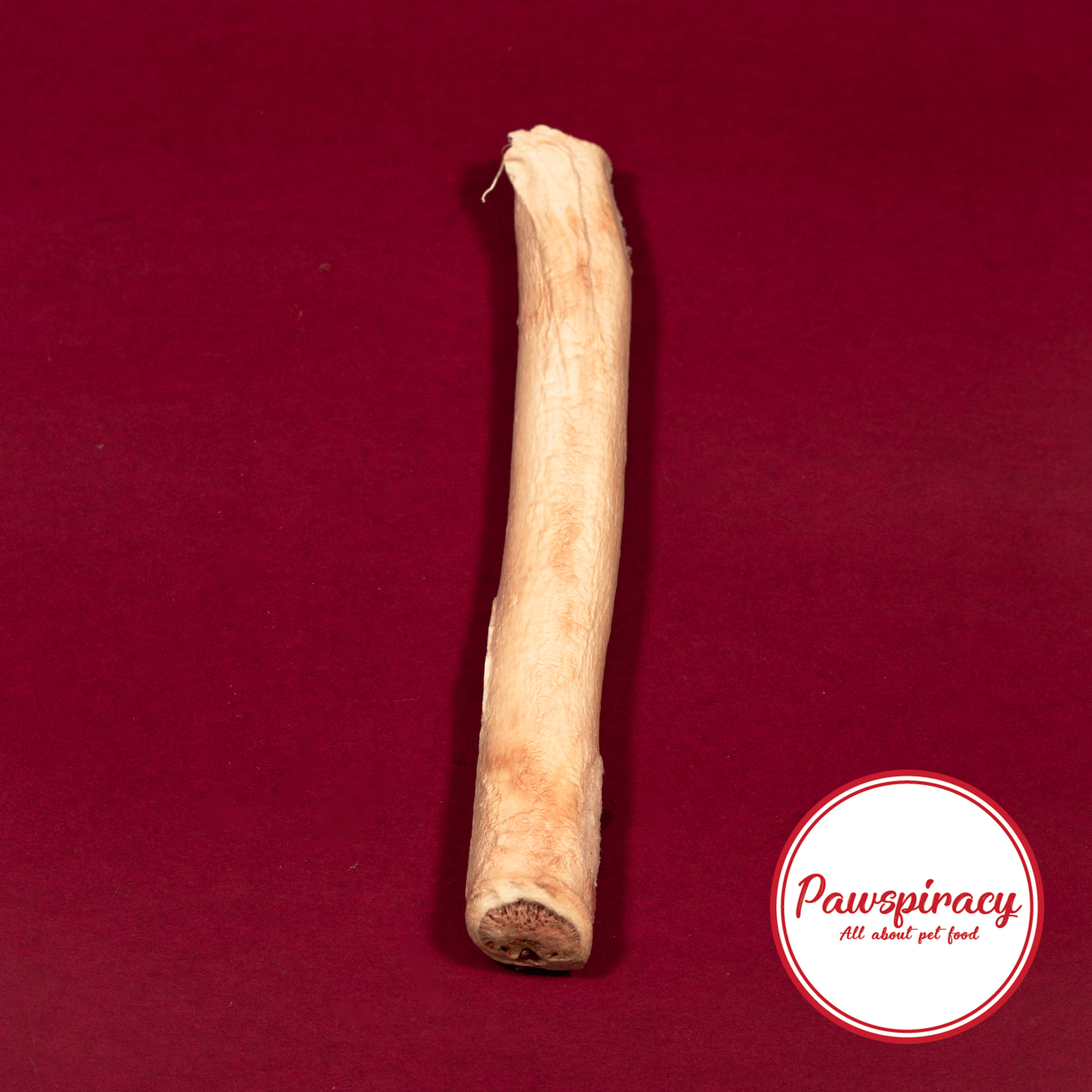 Pawspiracy Bull Pizzle Magnum