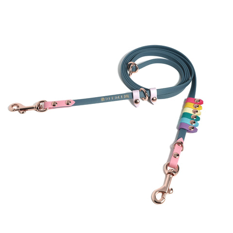 Rainbow Skinny Cruiser Multi-way Leash