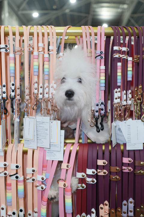 Pet Expo 2025