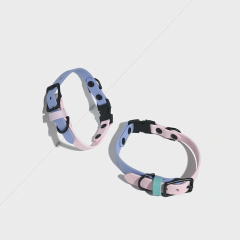 Swift Classic Collar