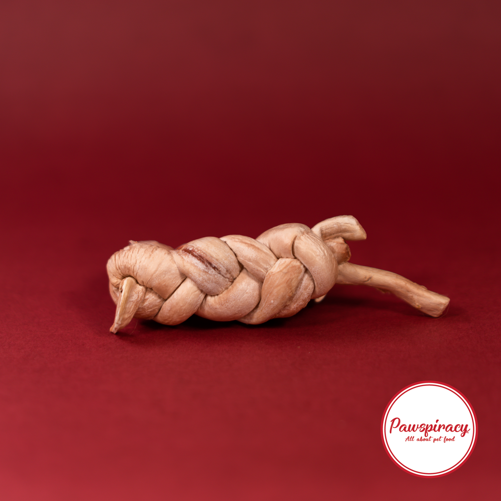 Pawspiracy Pork Pizzle Braids Magnum
