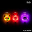 LED Blinker Safety Light for Dogs