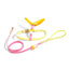 Rainbow Skinny Classic Leash