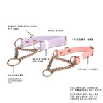 Adjustable Martingale Collar