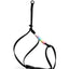 Align Harness
