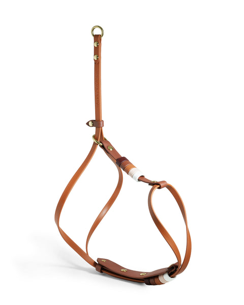 Align Harness