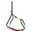 Align Harness