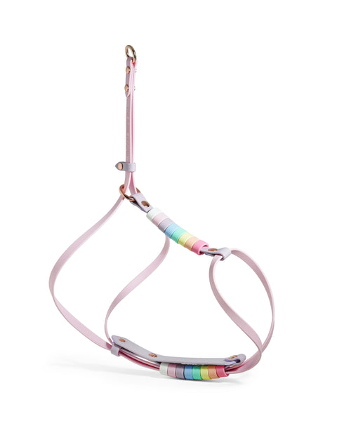 Align Harness