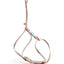 Align Harness