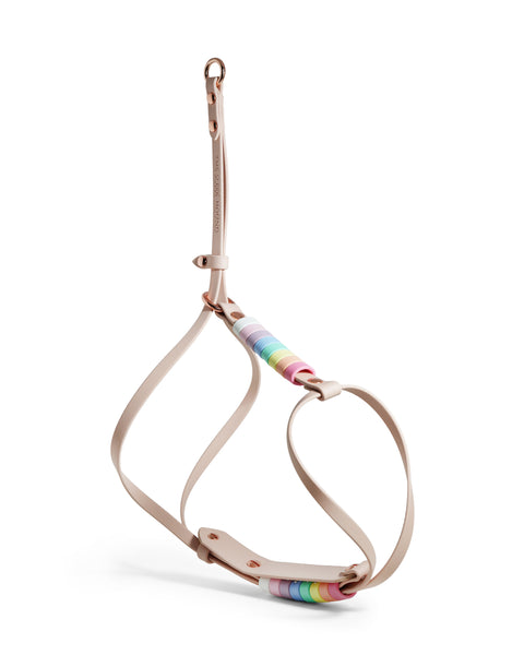 Align Harness