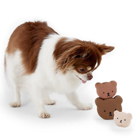 Bear Family Latex Toy Squeaky