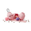 Candy Coconi Nosework Toy