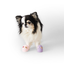 Mung Shoes Latex Toy Squeaky
