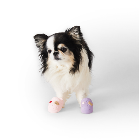 Mung Shoes Latex Toy Squeaky