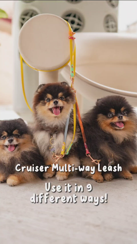 Rainbow Skinny Cruiser Multi-way Leash