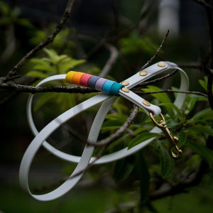 Rainbow Standard Classic Leash