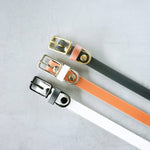 Classic Collar