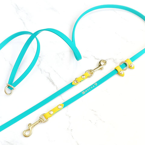 Skinny Cruiser Multi-way Leash