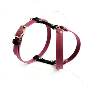 Standard Harness Y-style