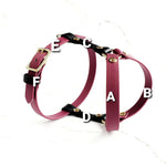 Standard Harness Y-style