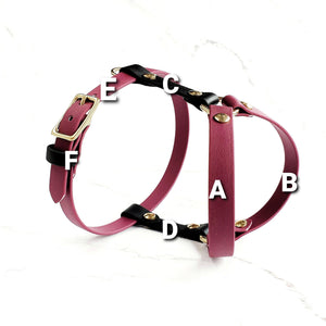Standard Harness Y-style