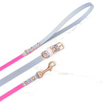 Skinny Classic Leash