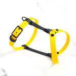 Standard Harness Y-style
