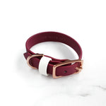 Classic Collar