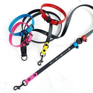 Classic Collar
