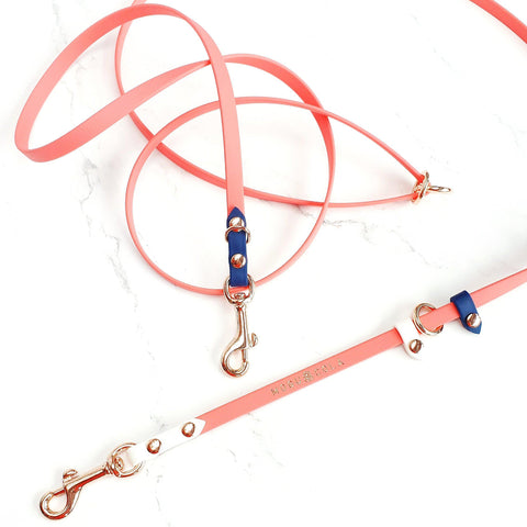 Skinny Cruiser Multi-way Leash