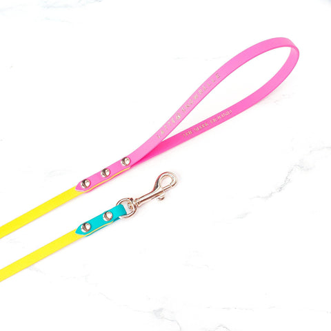 Skinny Classic Leash