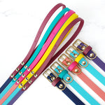 Classic Collar