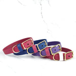 Classic Collar