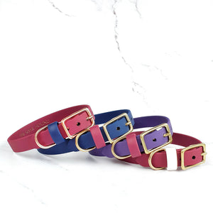 Classic Collar