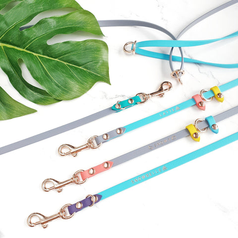 Skinny Cruiser Multi-way Leash