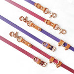 Standard Cruiser Multi-way Leash