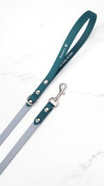 Standard Classic Leash