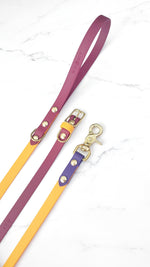 Standard Classic Leash