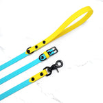 Standard Classic Leash