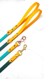 Standard Classic Leash