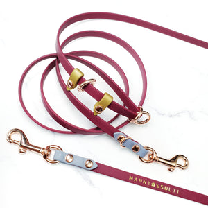 Skinny Cruiser Multi-way Leash