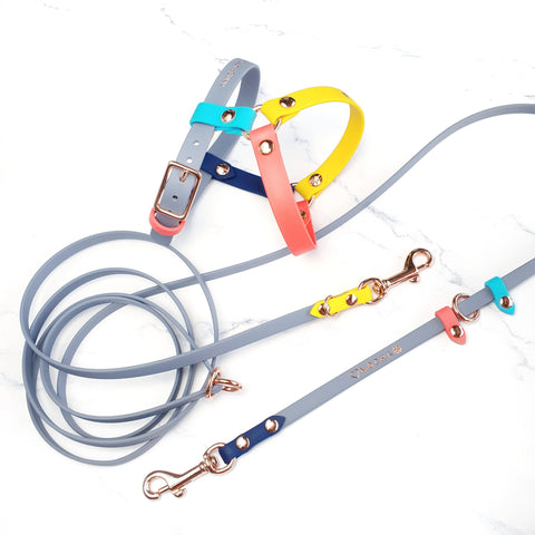 Skinny Cruiser Multi-way Leash