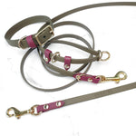 Skinny Cruiser Multi-way Leash