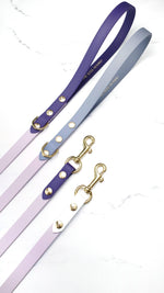 Standard Classic Leash